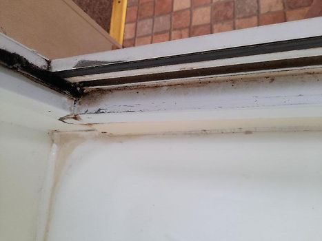 Shower door
